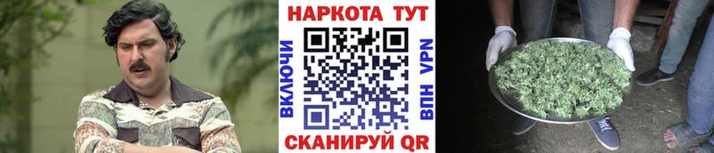 Купить наркотики Кольчугино КЕТАМИН  Псилоцибиновые грибы  блэк спрут ссылки  Бошки Шишки  Бутират  Альфа ПВП  Гашиш  Мефедрон 