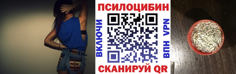 MEGA как войти  Кольчугино  Псилоцибиновые грибы Cubensis 