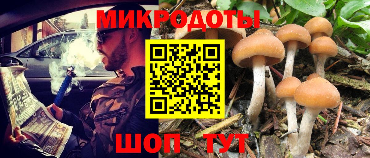 Кольчугино  Псилоцибиновые грибы Psilocybe  Вход с VPN 